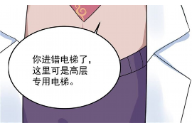 桐城债务清欠服务